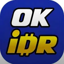 OKIDR - Aplikasi Belajar Matematika Interaktif untuk Semua Usia